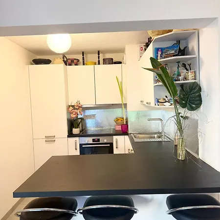 Apartment Bel 70 M2 A La Frontiere De Basel