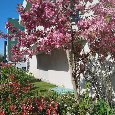 Bel 70 M2 A La Frontiere De Basel Apartment Saint-Louis (Haut-Rhin)