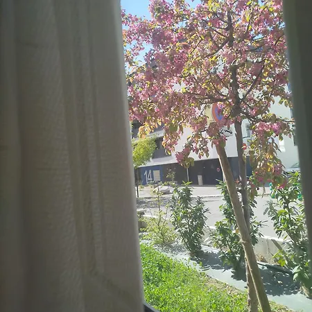 Bel 70 M2 A La Frontiere De Basel Apartment Saint-Louis (Haut-Rhin)